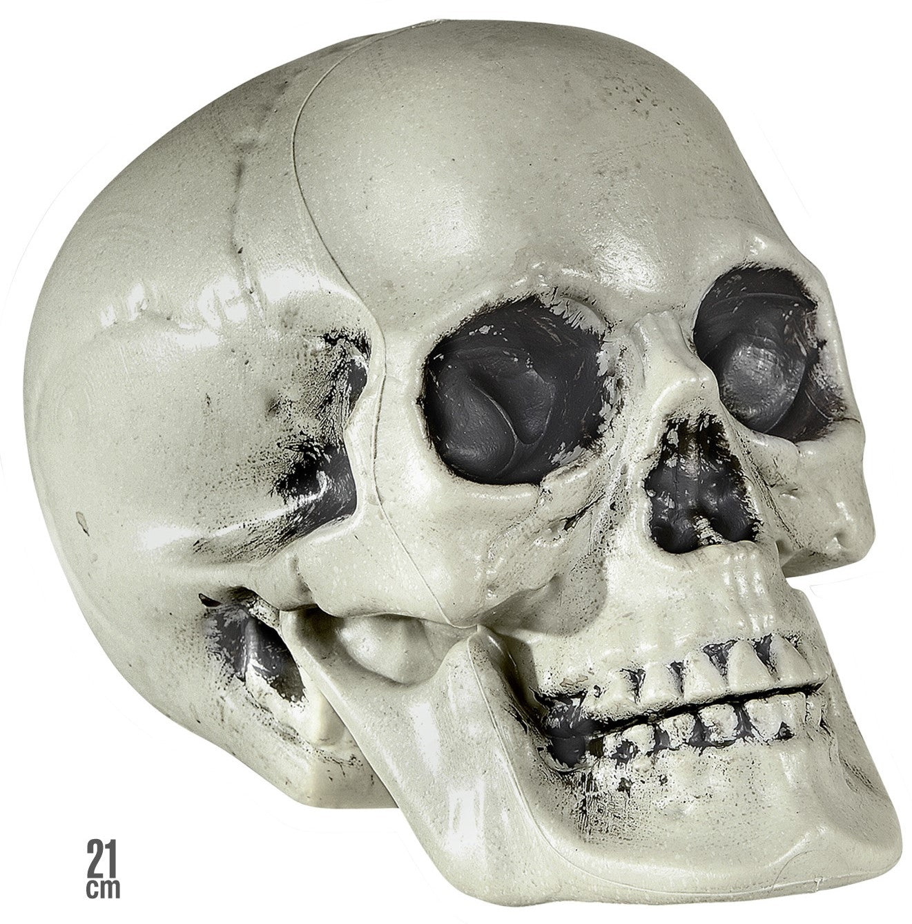 Crâne PVC 21 cm : Une Décoration Effrayante pour Halloween