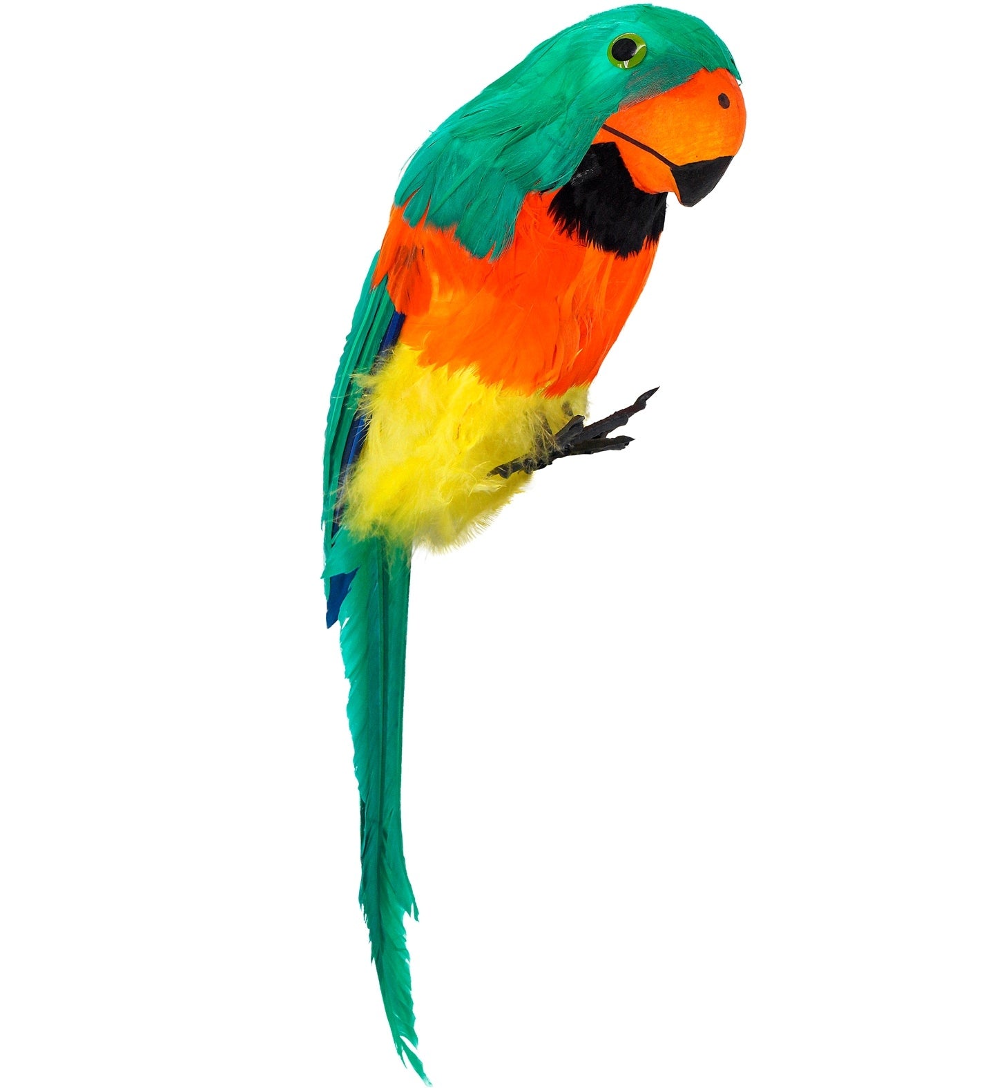 Perroquet à Plumes Vert, Orange et Jaune : Un Toucan Coloré