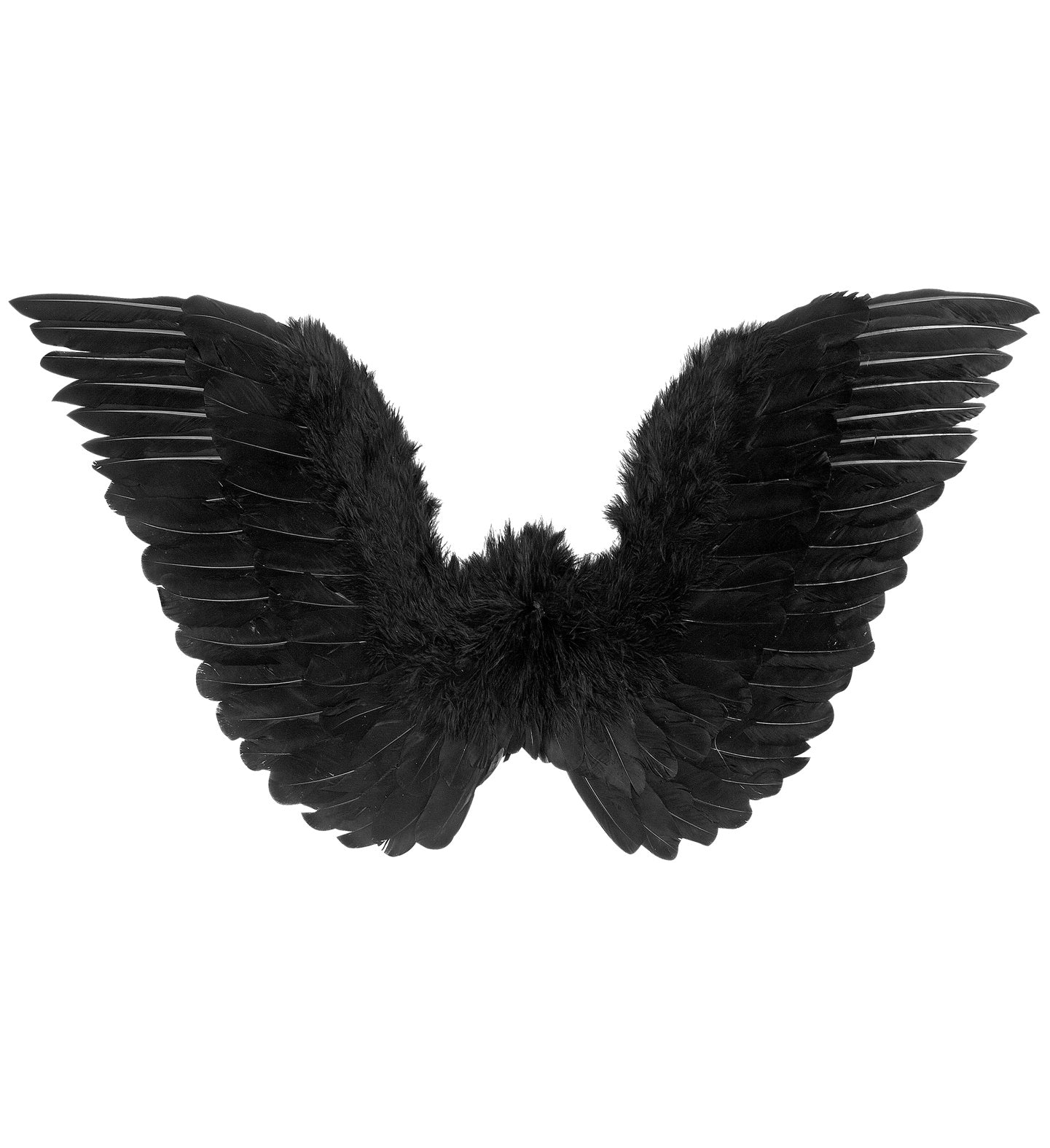 Ailes noires en plumes 78 x 36 cm : Élégance et Mystère pour Vos Fêtes