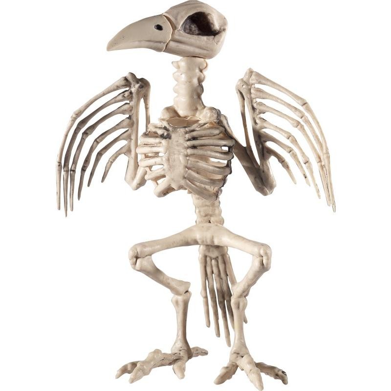 Squelette de corbeau
