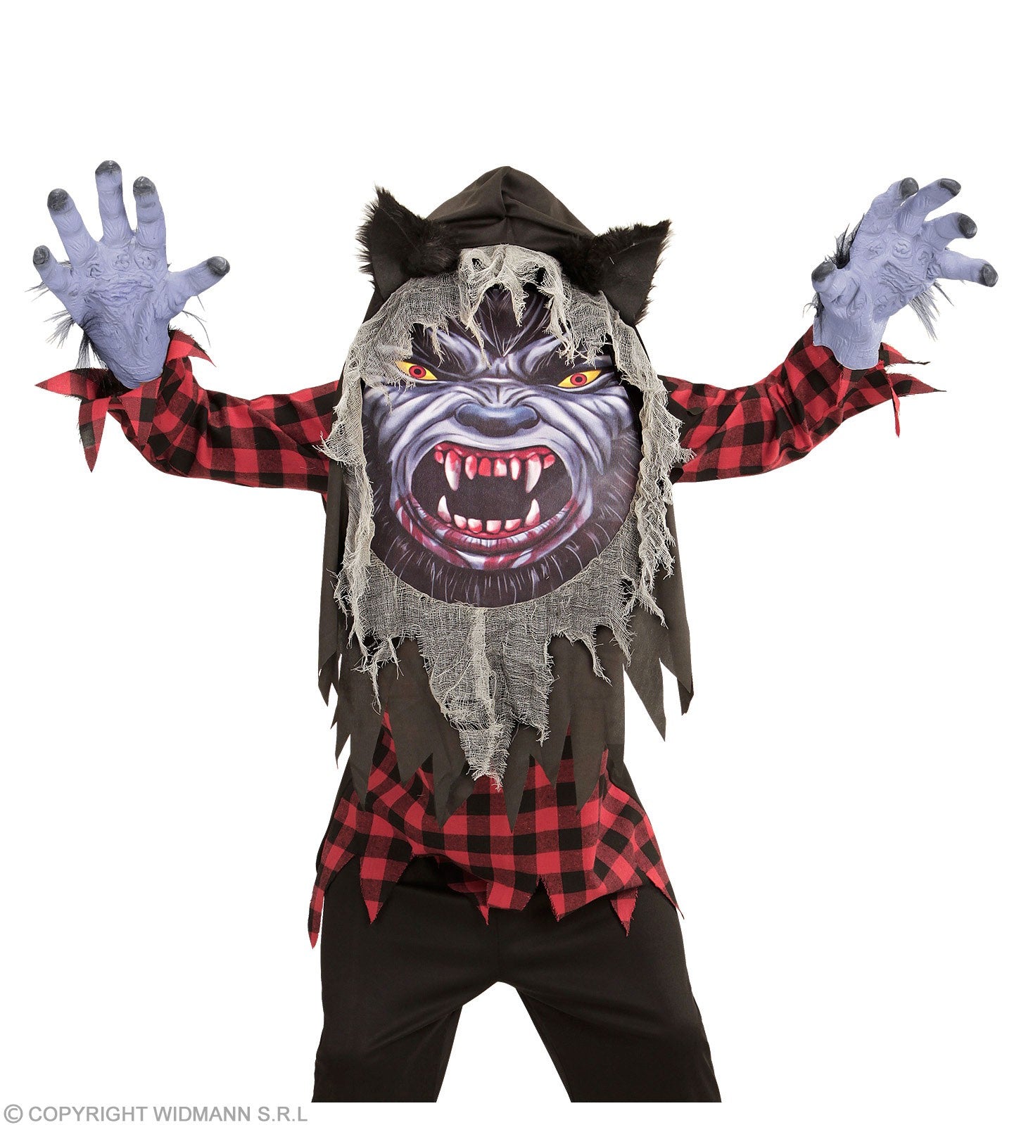 Déguisement Loup-Garou enfant pour Halloween