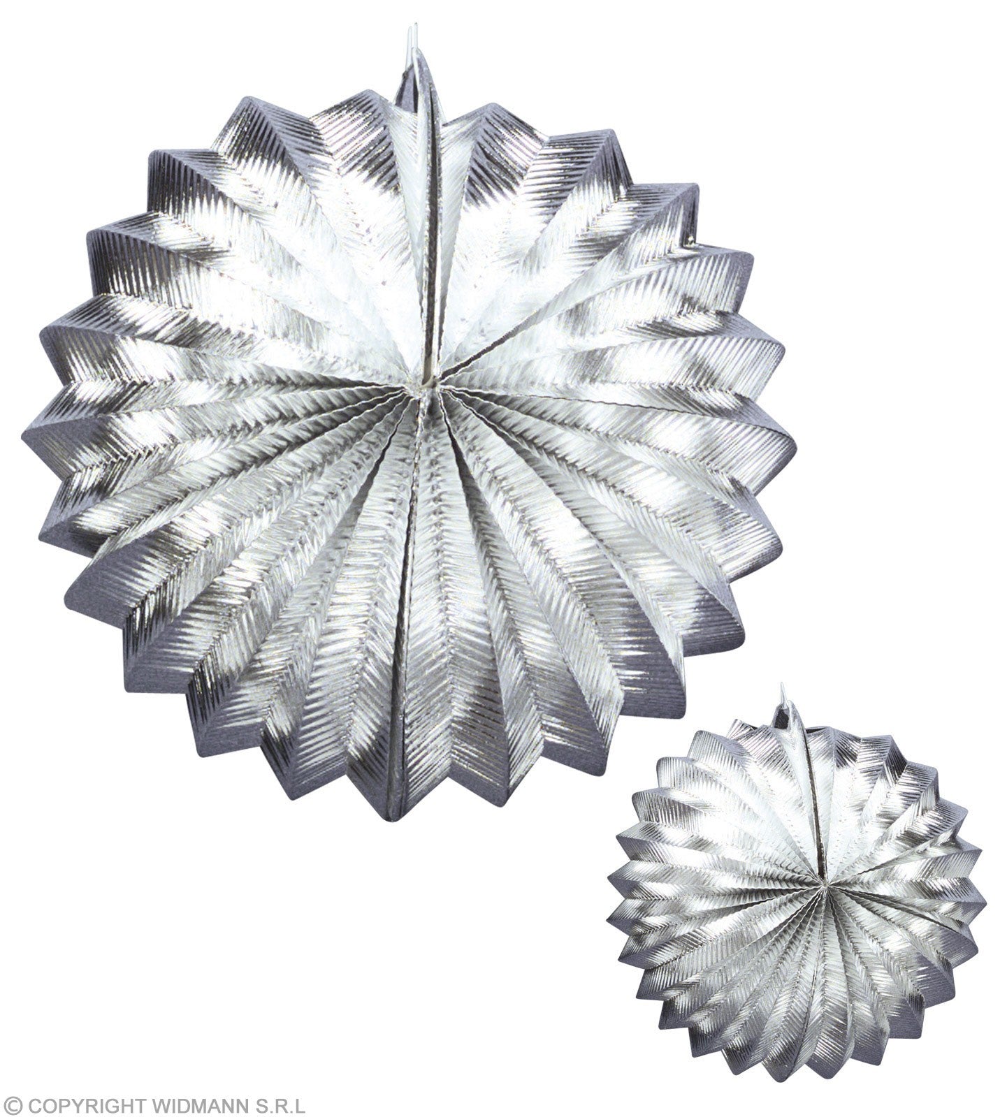Lot de 2 Globes Argent 25 cm